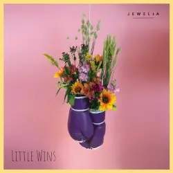 Little Wins by Jewelia
