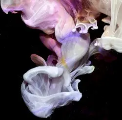 Murmurations by Simian Mobile Disco