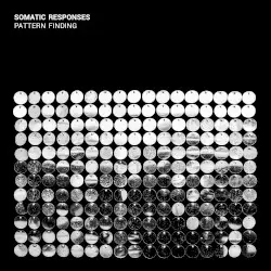 Pattern Finding by Somatic Responses