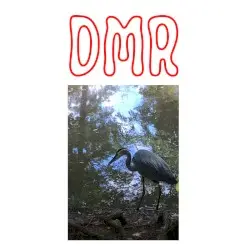 DMR by DMR