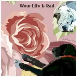 Wow Life Is Rad by JustMakeMeCry