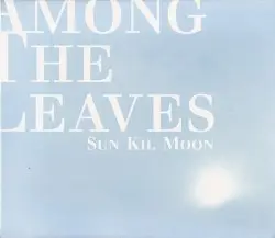 Among the Leaves by Sun Kil Moon