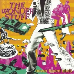 Never Loved Elvis by The Wonder Stuff