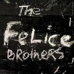 The Felice Brothers by The Felice Brothers