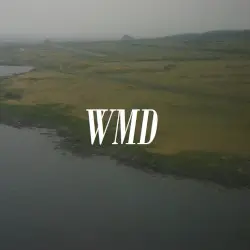 The Latest in a Series of Personal Crises by WMD