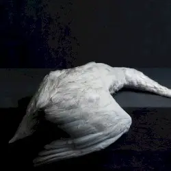Mass VI by Amenra