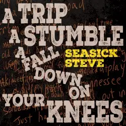 A Trip a Stumble a Fall Down on Your Knees by Seasick Steve
