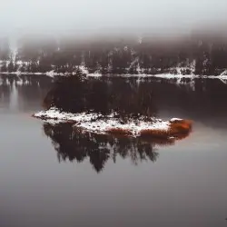 Reflected by Human Is Alive & Warmth