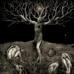 A Drop of Light by All Traps on Earth