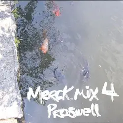Merck Mix 4: Proswell by Proswell