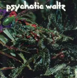 Mosquito by Psychotic Waltz