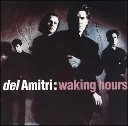 Waking Hours by Del Amitri