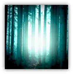 Quiet Is The New Loud by Motionfield