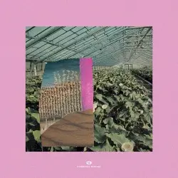 Grapefruit Garden by Mujo & Hakone