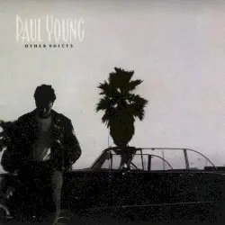 Other Voices by Paul Young