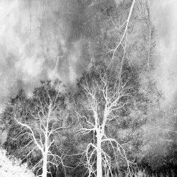 Winter Hymns by Reflections From Nowhere