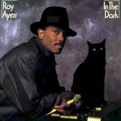 In the Dark by Roy Ayers