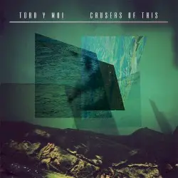 Causers of This by Toro y Moi