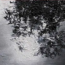 Canopy by Silent Whale Becomes A° Dream