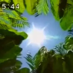 ㅅBeyond Paradiseㅅ by Webinar™
