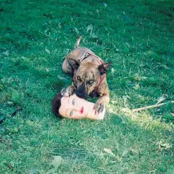 Cody by Joyce Manor