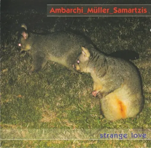 Strange Love by Oren Ambarchi & Günter Müller & Philip Samartzis