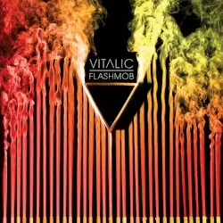 Flashmob by Vitalic
