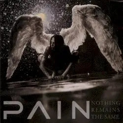 Nothing Remains the Same by Pain