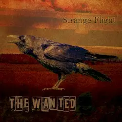 Strange Flight by The Wanted