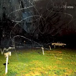 This Stupid World by Yo La Tengo