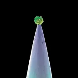 New Blood by Peter Gabriel