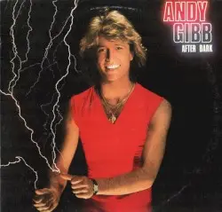 After Dark by Andy Gibb