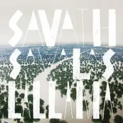 La llama by Savath & Savalas