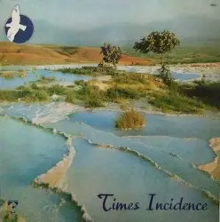 Times Incidence by Michel Gonet, Alan Feanch