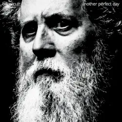 Another Perfect Day by Bill Orcutt