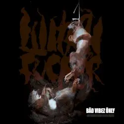 Bäd Vibez Önly: Aufarbeitung einer Krise by Witchfucker