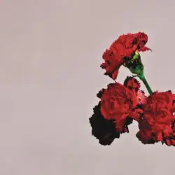 Love in the Future by John Legend