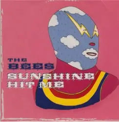 Sunshine Hit Me by The Bees