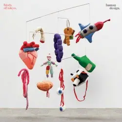 Human Design by Birds of Tokyo