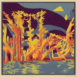 polytree by Plusma & Miramare