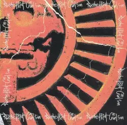 Cruel Sun by Rusted Root