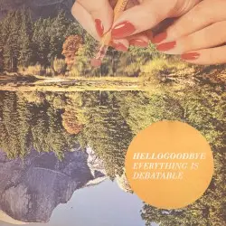 Everything Is Debatable by hellogoodbye