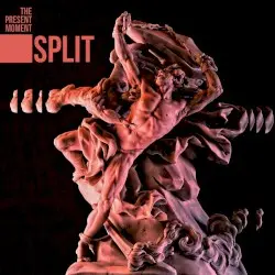 Split by The Present Moment