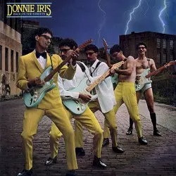 Back on the Streets by Donnie Iris
