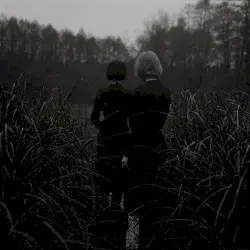 Sometimes by Goldmund