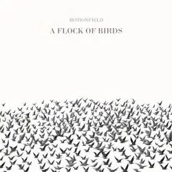 A Flock of Birds by Motionfield