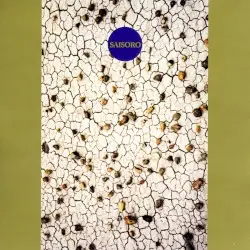 Saisoro by Derek Bailey & Ruins