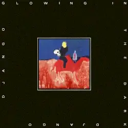 Glowing in the Dark by Django Django