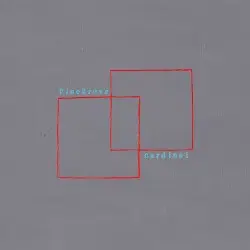 Cardinal by Pinegrove
