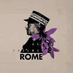 Aster Und Edelweiss by Rome